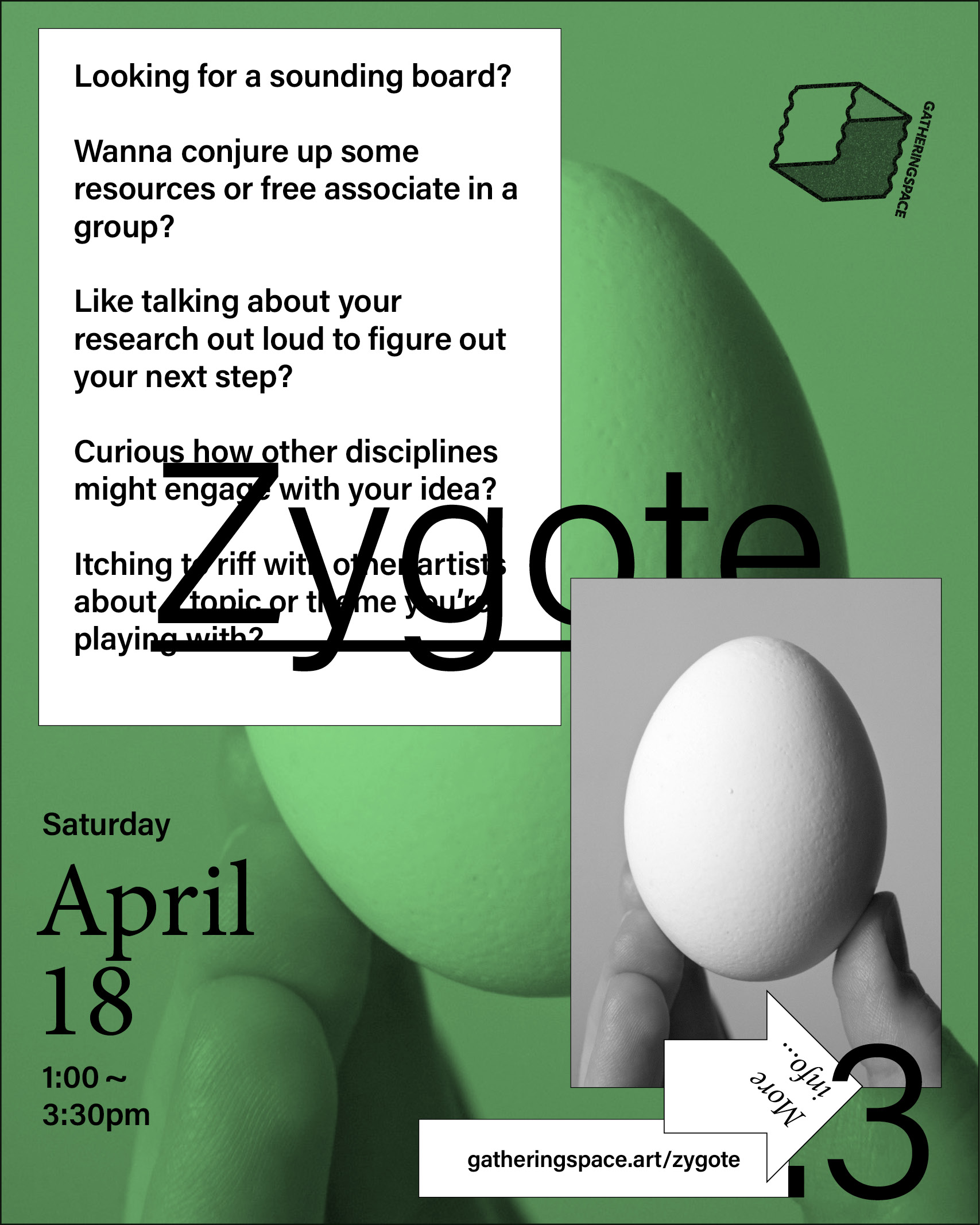 Zygote.3
